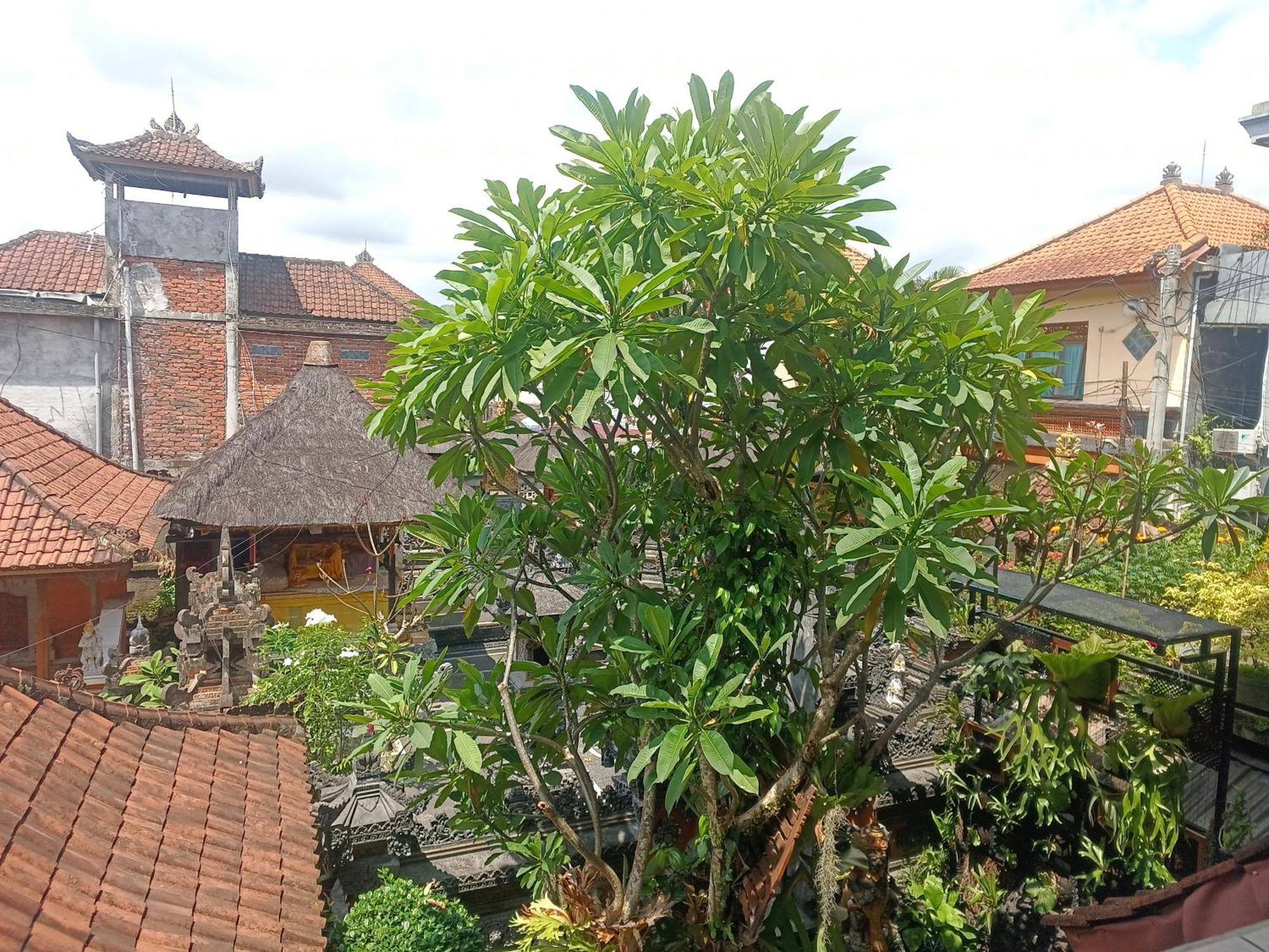 Arjuna Homestay Ubud Extérieur photo